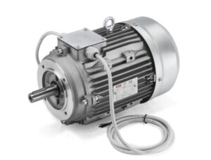 Food Industry Motors