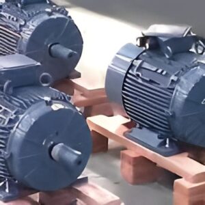 Marine Sector Motors